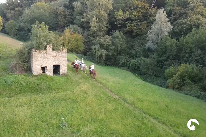 Horseback riding for experts between the lake and the mountains - The second two-hour ride and the chance to gallop