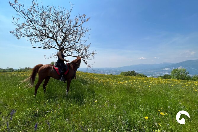 Horseback riding for experts between the lake and the mountains - Should you book the Galbiate horseback ride?