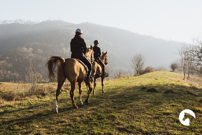 Horseback riding for experts between the lake and the mountains - The first two hours on wooded mountain trails