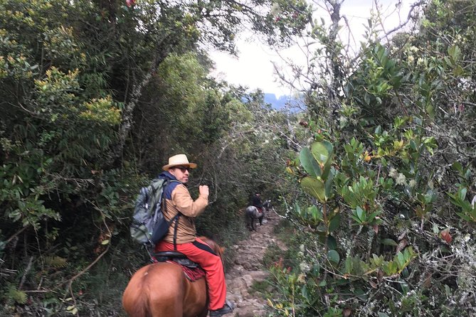 Horseback Riding from Guadalupe to Monserrate Private Day-Tour - Weather, safety, and useful preparation