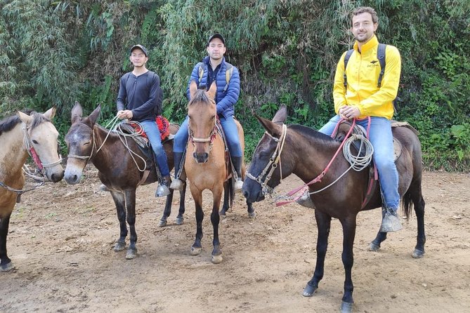 Horseback Riding from Guadalupe to Monserrate Private Day-Tour - The horse ride is an adventure, not a photo stop