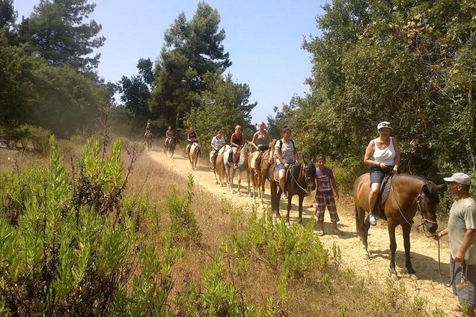 Horseback Riding From Kusadasi Port For Cruise Guests - Pamucak Beach and the Question of Riding in the Sea