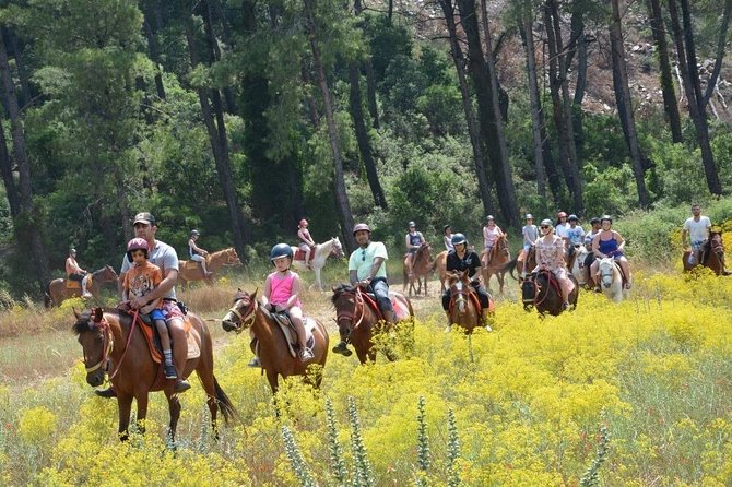Horseback Riding From Kusadasi Port For Cruise Guests - Horses, Equipment, and Riding Ability