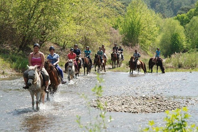 Horseback Riding From Kusadasi Port For Cruise Guests - Timing, Waiting, and the Wider Activity Area