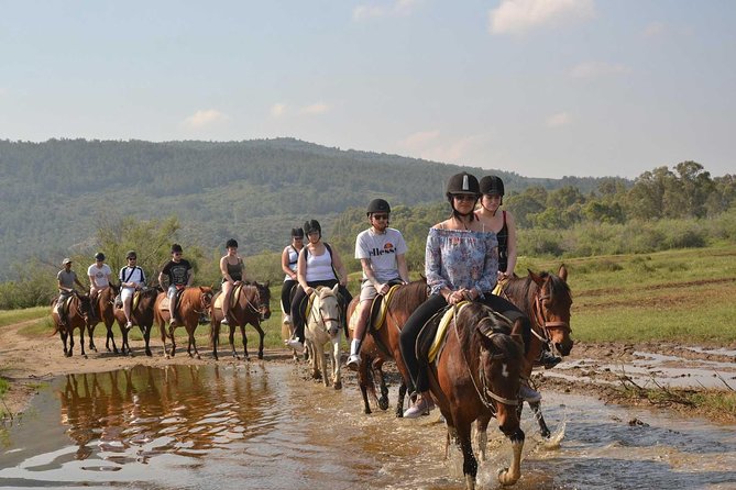 Horseback Riding From Kusadasi Port For Cruise Guests - How the $88.92 Price Holds Up