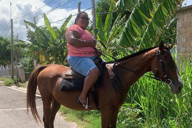 Horseback Riding from Montego Bay - The price and what you receive
