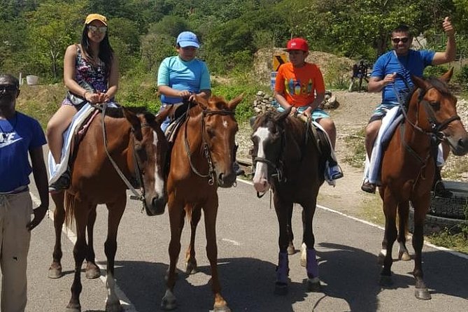 Horseback Riding from Montego Bay - Who will enjoy this outing most