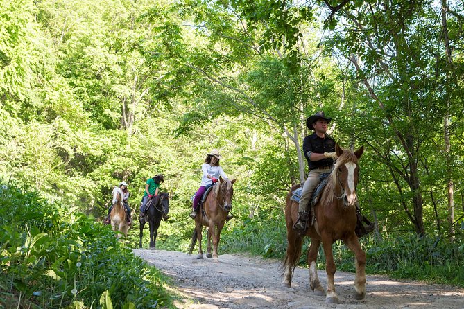 Horseback-Riding in a Country Side in Sapporo - Private Transfer is Included - A cowboy set with a Japanese countryside backdrop