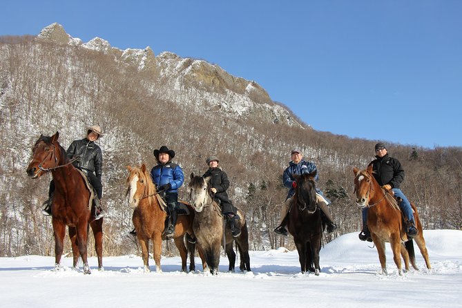 Horseback-Riding in a Country Side in Sapporo - Private Transfer is Included - What the 40-minute or one-hour ride feels like