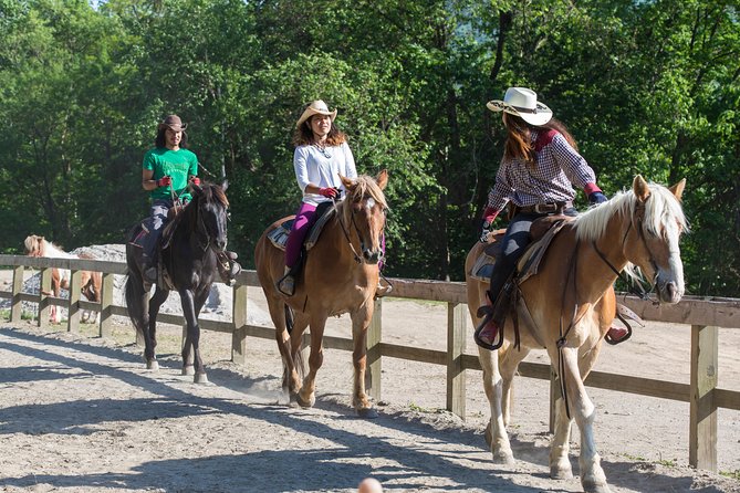 Horseback-Riding in a Country Side in Sapporo - Private Transfer is Included - The scenery is pleasant, but keep the scale in mind