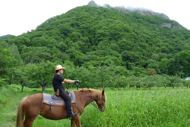 Horseback-Riding in a Country Side in Sapporo - Private Transfer is Included - How the price works for different groups