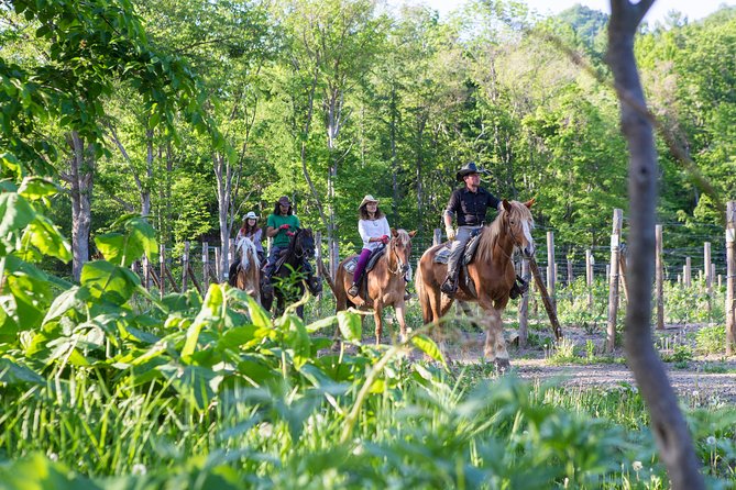 Horseback-Riding in a Country Side in Sapporo - Private Transfer is Included - The Sheriff’s lesson before you mount