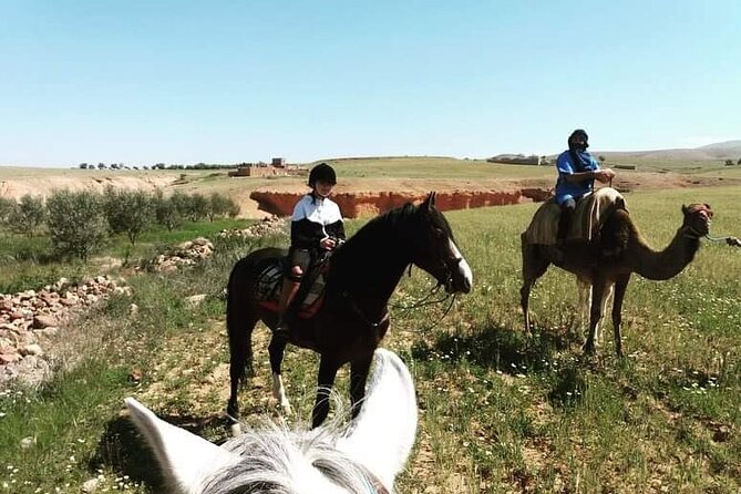 Horseback Riding in a special agafay desert - Meeting the horses near Lalla Takerkoust