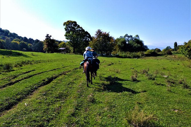 Horseback Riding in Armenia - Mount Lurt, Goshavank, and Lake Gosh