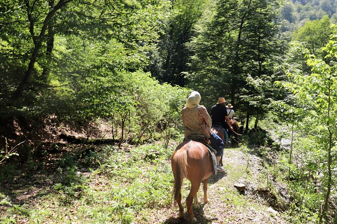Horseback Riding in Azerbaijan - What the private format changes