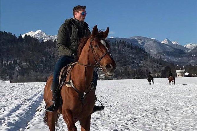 Horseback Riding In Bled - Two Hours Through Fields, Woods, and Villages
