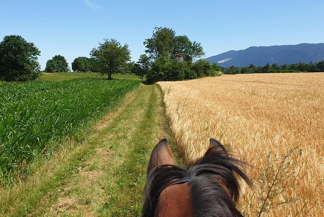 Horseback Riding In Bled - Guides Who Add More Than Horse Control