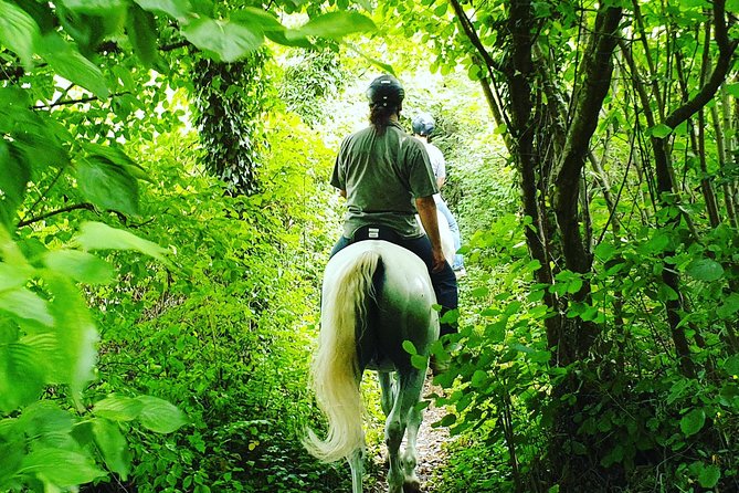 Horseback Riding In Bled - Seasonal Comfort and What to Bring
