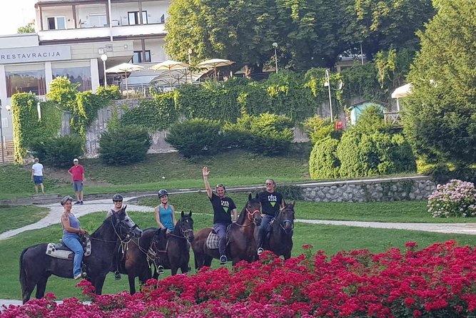 Horseback Riding In Bled - Cancellation, Timing, and Booking Value