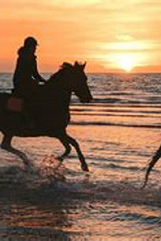 Horseback riding in Boavista for beginners - A quiet ride beside Boa Vista’s Atlantic shore