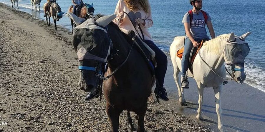 Horseback riding in Boavista for beginners - Meeting the horses at Riu Palace