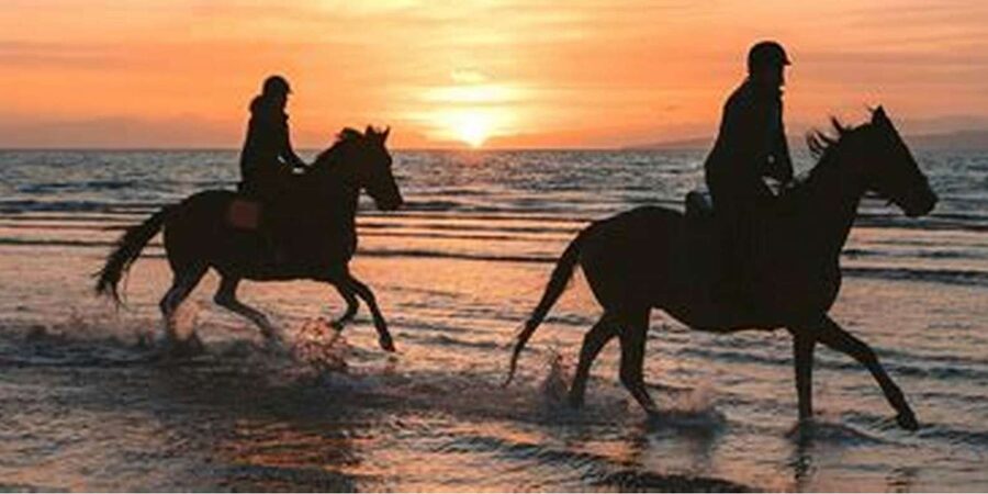 Horseback riding in Boavista for beginners - What the $81 price really covers