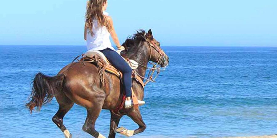 Horseback riding in Boavista for beginners - The safety briefing and first steps