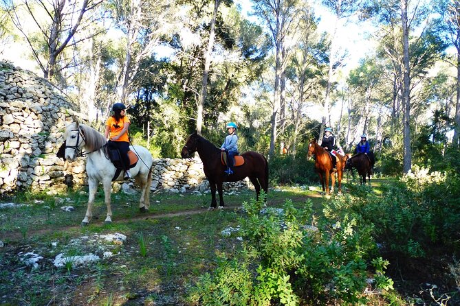 Horseback Riding in Cala Mitjana, Menorca, Spain - Calm horses and a proper first lesson