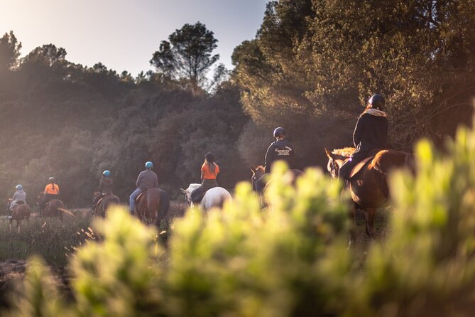 Horseback Riding in Cala Mitjana, Menorca, Spain - How much value do you get for $114.84?