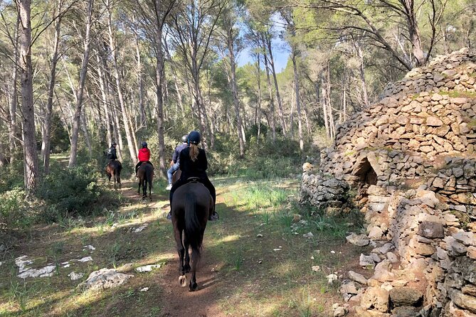 Horseback Riding in Cala Mitjana, Menorca, Spain - Why the eight-person limit matters