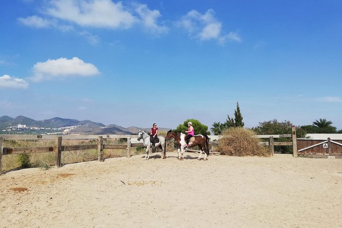 Horseback Riding in Cartagena (Spain) - How much value do you get for $210.28?
