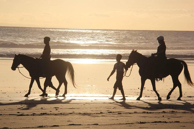 Horseback Riding in Djerba Lagoon - Setting out from the touristic area
