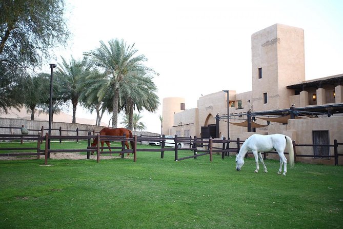 Horseback Riding in Dubai Desert with Transfers - Leaving Dubai for the quiet of the desert