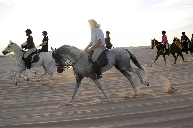 Horseback Riding in Dubai Desert with Transfers - Meeting your horse and getting the right level of help
