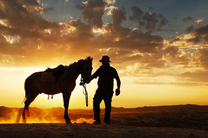 Horseback Riding in Dubai Desert with Transfers - Morning calm or late-afternoon color