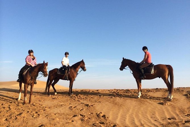 Horseback Riding in Dubai Desert with Transfers - Is $170 a fair price?