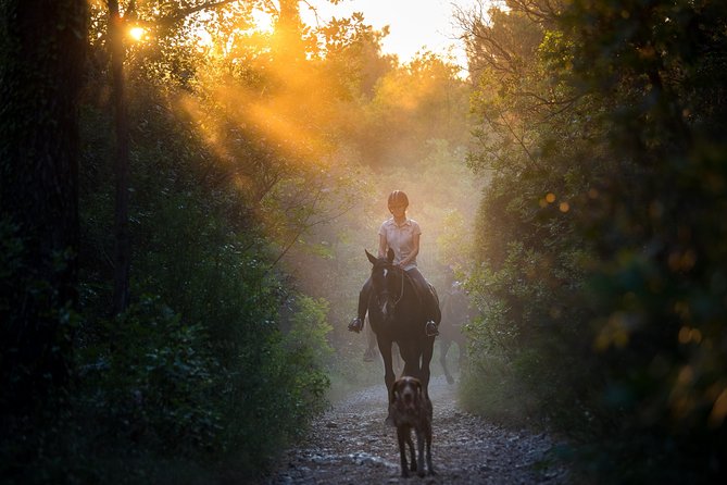 Horseback Riding in Konavle Region with Transport from Dubrovnik - Why Konavle Works So Well on Horseback