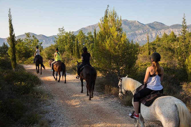 Horseback Riding in Konavle Region with Transport from Dubrovnik - Meeting Your Horse and Getting Comfortable