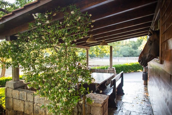 Horseback Riding in Konavle Region with Transport from Dubrovnik - The Adriatic Viewpoint and Popovići Remains