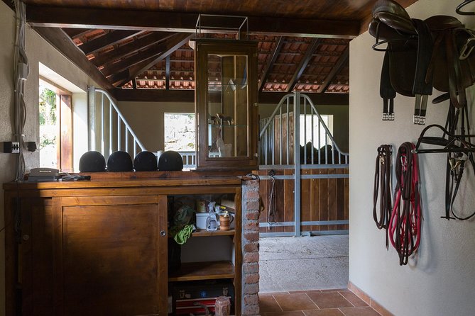 Horseback Riding in Konavle Region with Transport from Dubrovnik - Sandwiches, Wine, and Time at the Ranch