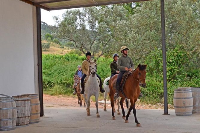 Horseback Riding In Lisbon - Arrábida - Louro Trail Mountain 5 - 6 Hours - Quinta de Alcube turns the ride into a food and wine outing