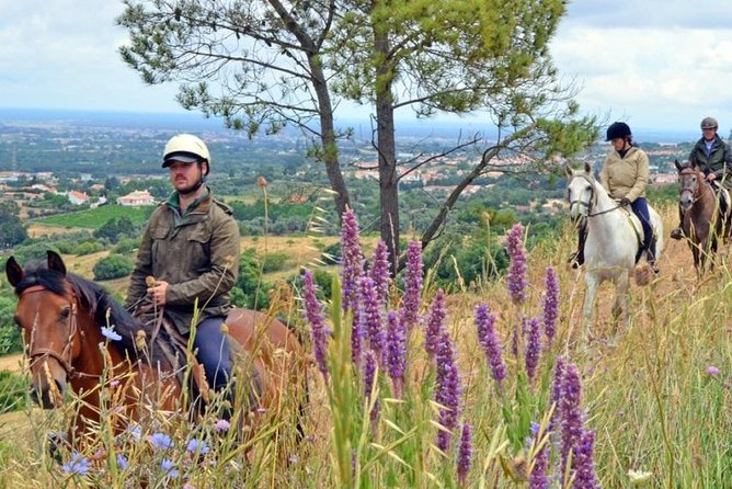Horseback Riding In Lisbon - Arrábida - Louro Trail Mountain 5 - 6 Hours - Booking details that can affect your day