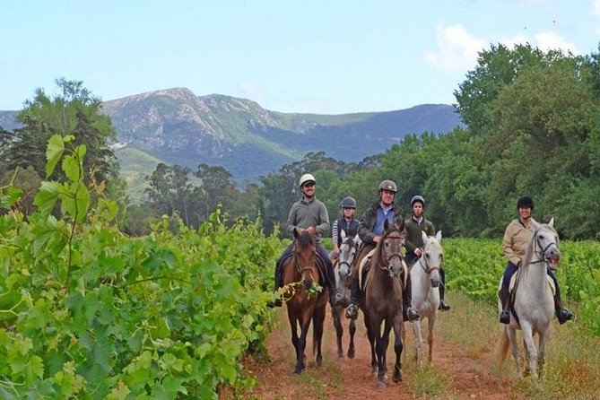 Horseback Riding In Lisbon - Arrábida - Louro Trail Mountain 5 - 6 Hours - Forest tracks, vineyards, and Alcube Valley views