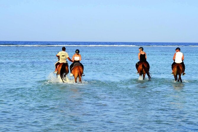 Horseback riding in Marsa Alam and Port Ghalib - Key points to know before booking