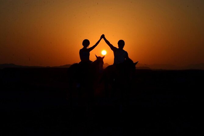 Horseback riding in Marsa Alam and Port Ghalib - From the stable to the Red Sea