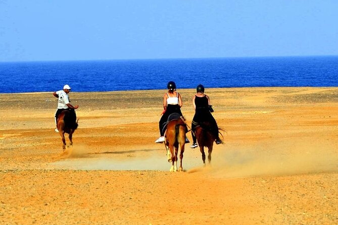 Horseback riding in Marsa Alam and Port Ghalib - The stable visit is part of the value