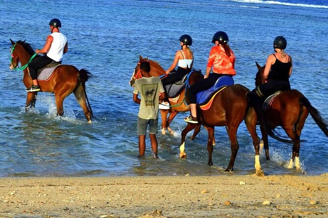 Horseback riding in Marsa Alam and Port Ghalib - Private touring and hotel pickup