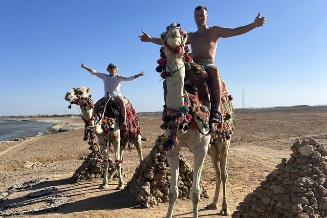 Horseback riding in Marsa Alam and Port Ghalib - Is $58.61 a fair price?