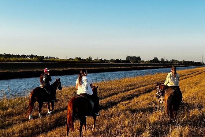 Horseback Riding in Miami - Following the natural trails for one hour
