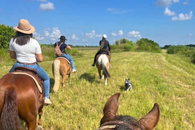 Horseback Riding in Miami - The views and the photo opportunity